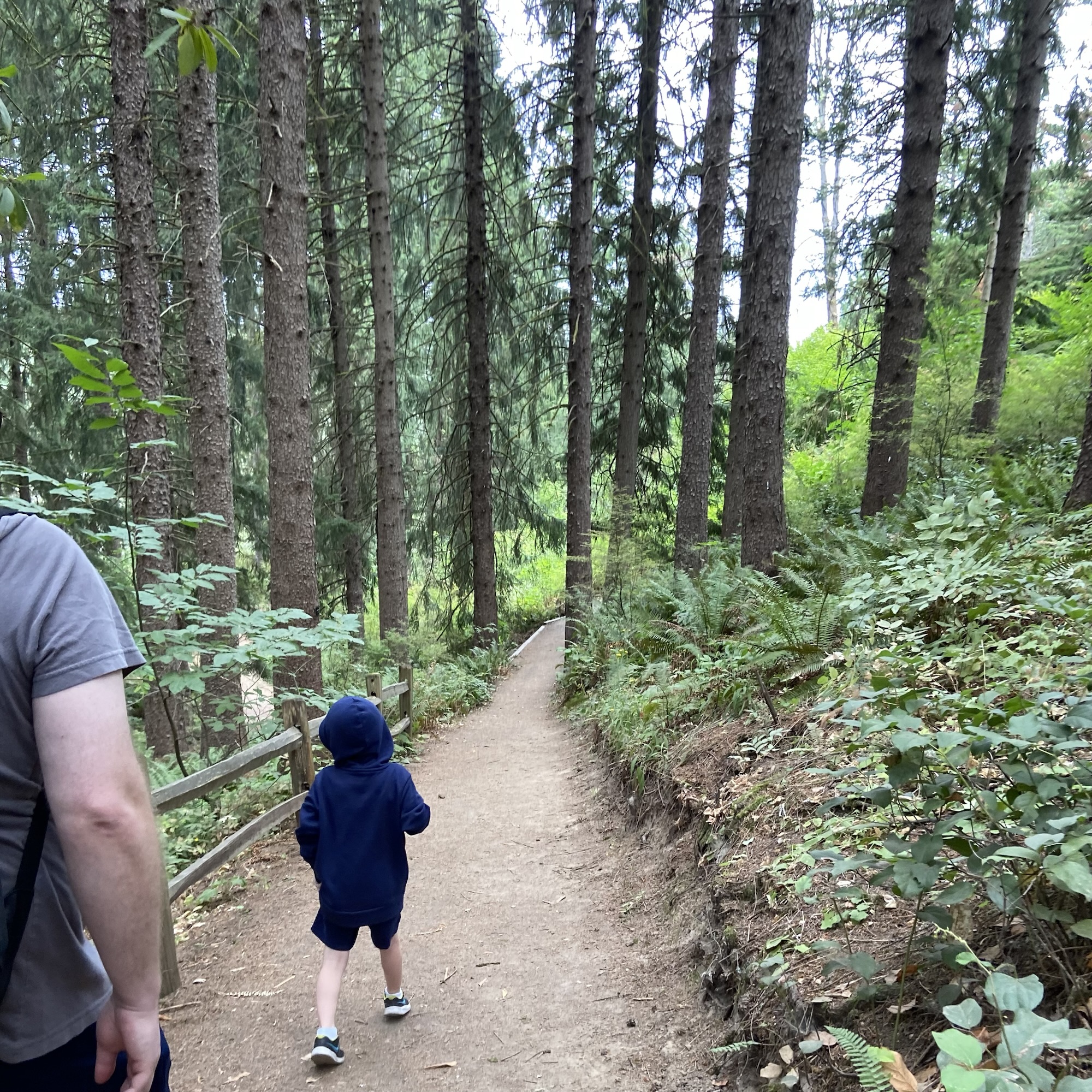 Alison Serwedes Matthew Serwedes Owen Serwedes